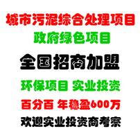  政府绿色项目 年利润600万